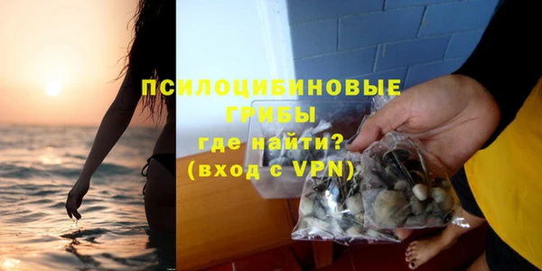 твердый Алексеевка