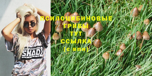 твердый Алексеевка