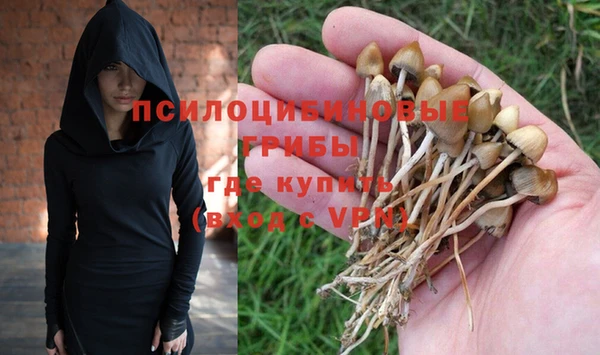 прущие грибы Алексин