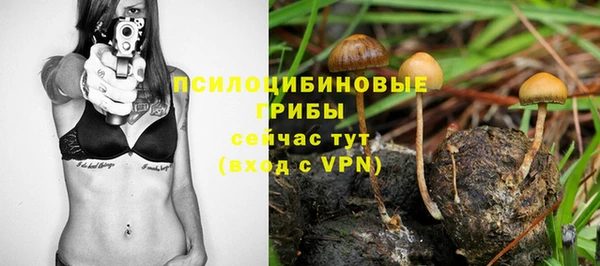 бутират Алзамай