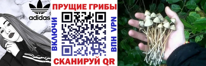 Псилоцибиновые грибы ЛСД  Тетюши 